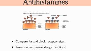 Histamine amp Prostaglandins [upl. by Rossen]