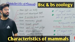 Characteristics evolution and diversity of mammals class bsc and bs zoology [upl. by Ludeman]