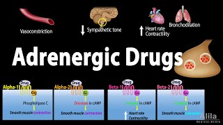 Adrenergic Drugs  Pharmacology Animation [upl. by Sldney]