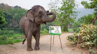 Frances giant mechanical elephant roars back to life after lockdown [upl. by Raybourne]