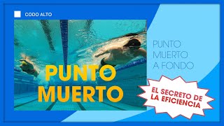 ▷ Técnica de PUNTO MUERTO  Mejora tu natación en el estilo de crol 🏊 [upl. by Ardith]