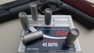 45 ACP CCI Shotshell Review [upl. by Garaway]