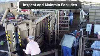 Beef Cattle Handling Facilities Basic Components [upl. by Wolfy]