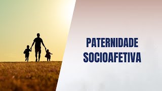 Paternidade socioafetiva [upl. by Branscum]