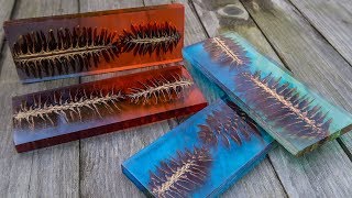 DIY Pine Cone And Resin Scale  Blank [upl. by Xxam]