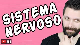 SISTEMA NERVOSO  FISIOLOGIA  Aula  Biologia com Samuel Cunha [upl. by Onairam]