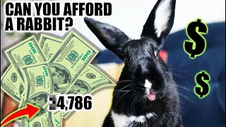 Whats the REAL Cost of Owning a Rabbit [upl. by Francklyn814]