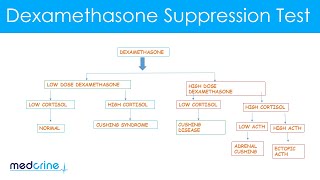 Dexamethasone Suppression Test How it is done and interpretation of the findings [upl. by Jarietta555]