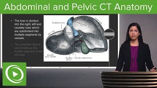 Normal Abdominal amp Pelvic CT Anatomy Algorithm – Radiology  Lecturio [upl. by Adniles]