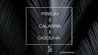 Prrrum x Calabria x Gasolina Samuele Brignoccolo Tiktok Mashup [upl. by Yelsna974]