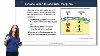 Cell Physiology Cell Signaling [upl. by Relda]