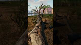 Animalia Survival Kudu Animal [upl. by Adnirol]