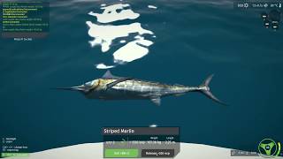 Ultimate Fishing Simulator  Marlin Fishing [upl. by Prochora584]