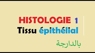 cours HISTOLOGIE Ep 1  Tissu épithélial [upl. by Hildegarde]