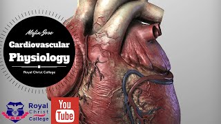 Cardiovascular Physiology  Regulation of Heart Function Chemoreceptors amp Baroreceptors [upl. by Nerro963]