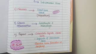 Acute Osteomyelitis And Chronic Osteomyelitis  Pathology [upl. by Ivel]