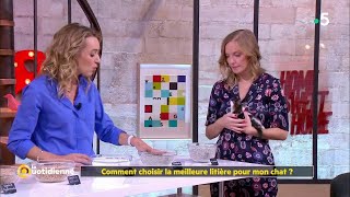 Comment choisir la meilleure litière pour son chat [upl. by Atahs]