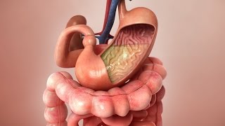 Aspirin Mechanism and Side Effects [upl. by Bondy337]