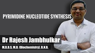 Pyrimidine nucleotide synthesis and degradation [upl. by Yeaton]