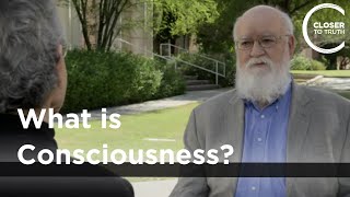 Daniel C Dennett  What is Consciousness [upl. by Aicener721]