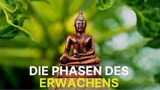 Erleuchtung  Die Phasen des Erwachens [upl. by Llebyram]