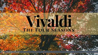 Vivaldi  The Four Seasons Metamorphose String Orchestra [upl. by Aitnohs]