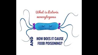 What is Listeria Monocytogenes [upl. by Sesiom]