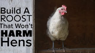 How To Build A Chicken Roost That Won’t Harm Your Chickens [upl. by Ajam]