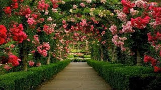 The Most Beautiful Gardens in Europe [upl. by Huldah338]