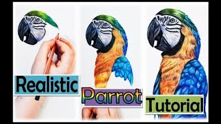 HOW TO DRAW A REALISTIC PARROT  STEPBYSTEP TUTORIAL [upl. by Yema283]