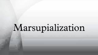 Marsupialization [upl. by Keese]