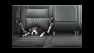 Best Car Commercials Ever  Greatest Car Ads All Time  The Used Car Guy [upl. by Carolynn]