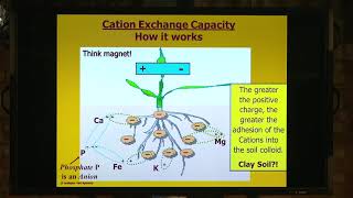 How Cation Exchange Capacity works [upl. by Zonda]