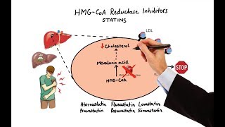 Pharmacology  DRUGS FOR HYPERLIPIDEMIA MADE EASY [upl. by Itagaki246]