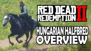 Hungarian Halfbred Overview  Red Dead Redemption 2 Horses [upl. by Nodyarb457]