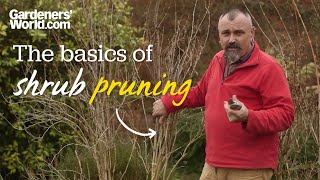 The basics of shrub pruning [upl. by Arther249]