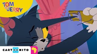 Tom and Jerry Mouse Trap  Cartoonito Africa [upl. by Him]