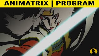 THE ANIMATRIX  Program  Fnally Explained [upl. by Etnasa]