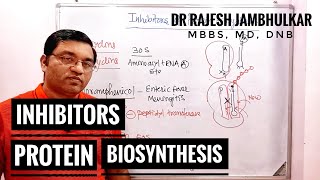 8 Inhibitors of Protein Biosynthesis [upl. by Geoffry]