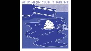 Mild High Club  Undeniable [upl. by Yul]