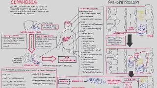 Liver Cirrhosis SandS Pathophysiology Investigations Management [upl. by Gnivri]