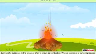 Cámaras de combustion Diesel [upl. by Aicssej]