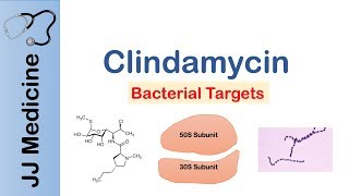 Clindamycin  Bacterial Targets Mechanism of Action Adverse Effects [upl. by Analeh]