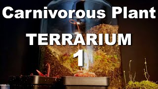 Growing Carnivorous Plants E1 Building a Terrarium [upl. by Enyaht]