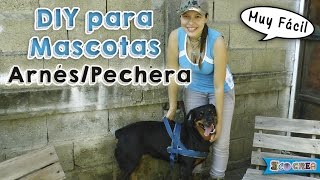 Cómo hacer un arnéspechera para tu perro │DIY [upl. by Adnuhsal]