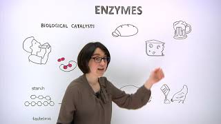 What are enzymes [upl. by Erleena501]