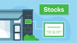 Investing Basics Stocks [upl. by Mathre360]