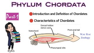 Part1 Introduction and Definition of ChordatesCharacteristics of ChordatesMsc Bsc Zoology NEET [upl. by Addia]