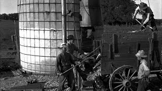 Threshing Machine Farmers Working Together [upl. by Noryk]