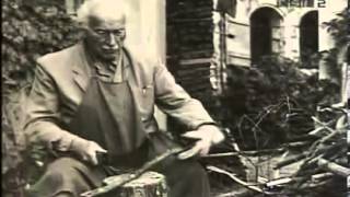 Carl Gustav Jung  Dal Profondo dell Anima  video Integrale [upl. by Delanty239]